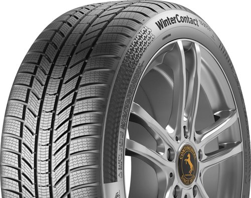 WinterContact TS870 P